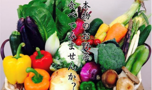 【広島市南区】【正社員】《スパイラップガーデン》スタッフ募集！未経験大歓迎♪きれいな店舗で働けます！